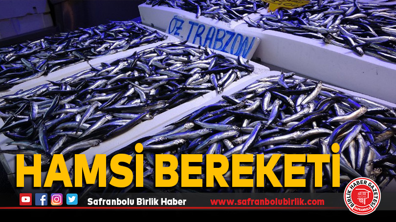 Hamsi bereketi ihracat rakamlarına da yansıdı