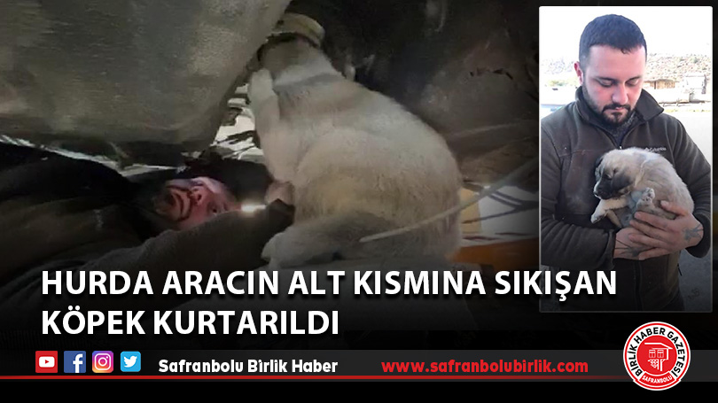 Hurda aracın alt kısmına sıkışan köpek kurtarıldı