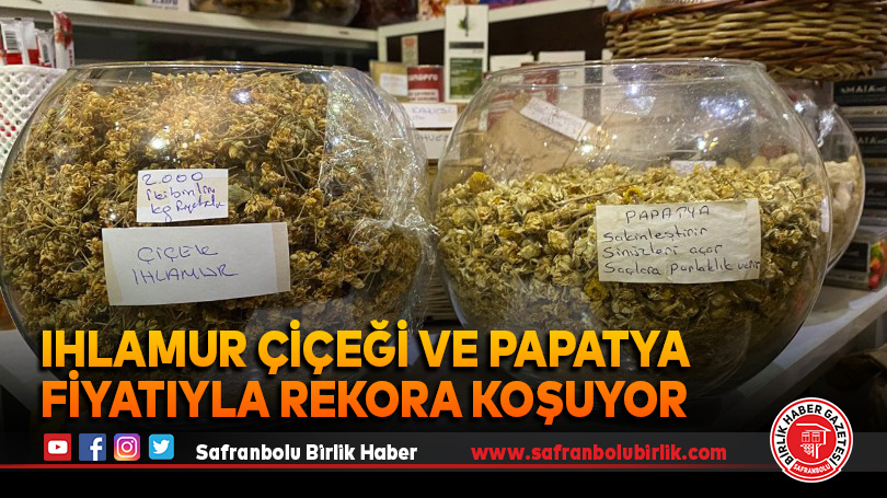 Ihlamur çiçeği ve papatya fiyatıyla rekora koşuyor