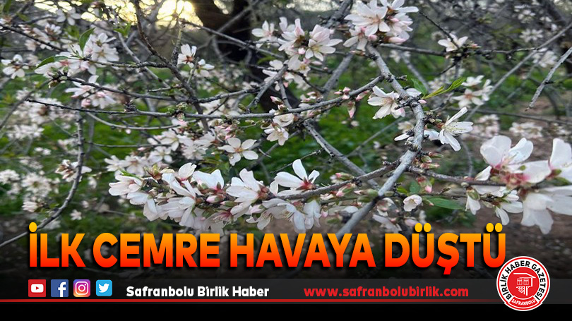İlk cemre havaya düştü