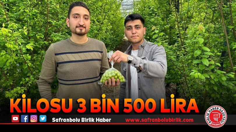 Kilosu 3 bin 500 lira