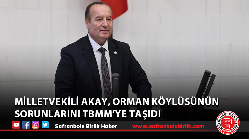 Milletvekili Akay, orman köylüsünün sorunlarını TBMM’ye taşıdı