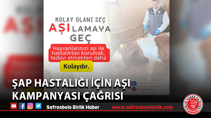 Şap Hastalığı için Aşı kampanyası çağrısı
