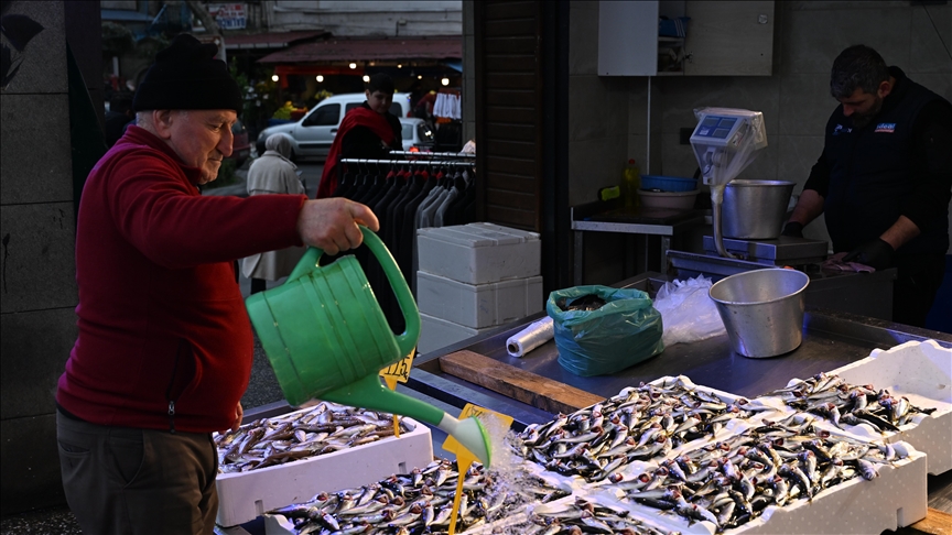 Trabzon’da istavritin 3 kilogramı 100 liradan satışa sunuluyor