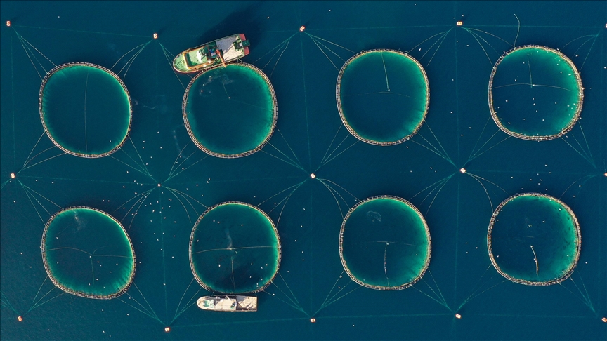 Dünya balıkçılık sektörünün kalbi Türkiye’de atacak