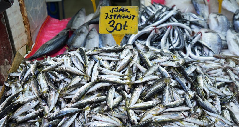 Kilosu 30 TL’ye satılan balıklara ilgi yok denecek kadar az