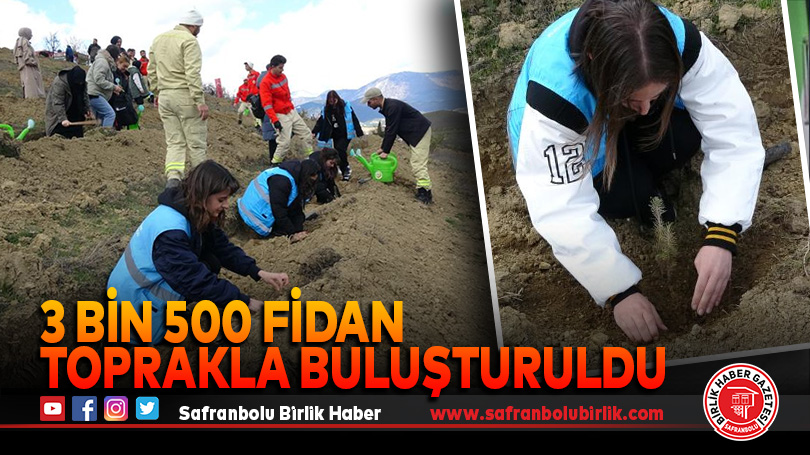 3 bin 500 fidan toprakla buluşturuldu