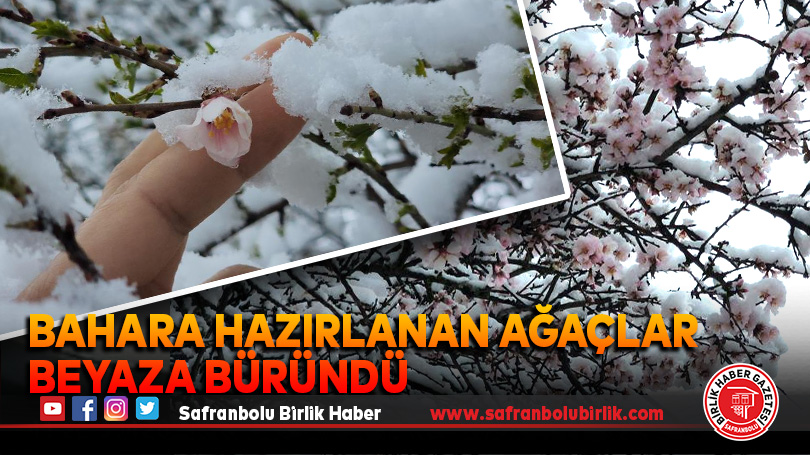 Bahara hazırlanan ağaçlar beyaza büründü