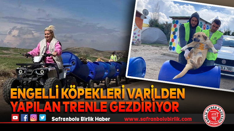 Engelli köpekleri varilden yapılan trenle gezdiriyor