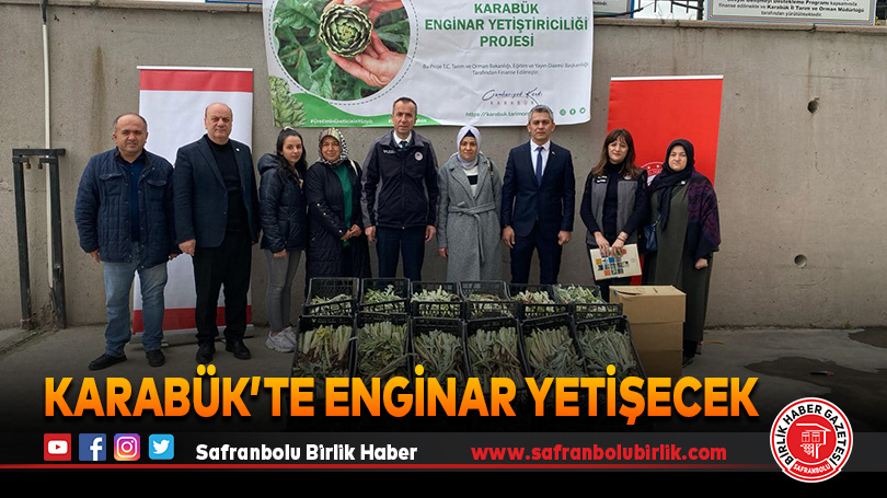 Karabük’te Enginar Yetişecek