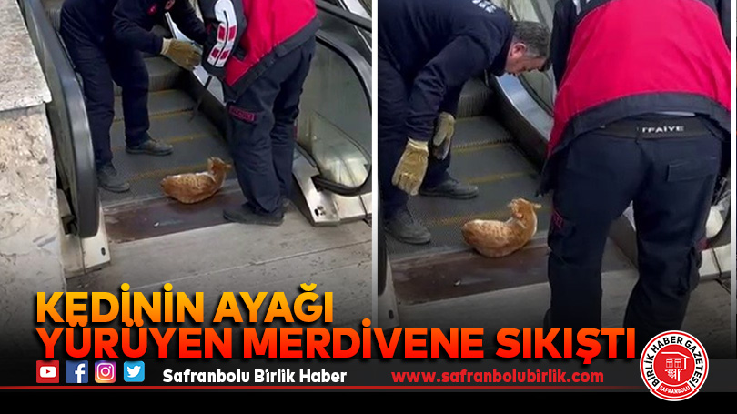 Kedinin ayağı yürüyen merdivene sıkıştı