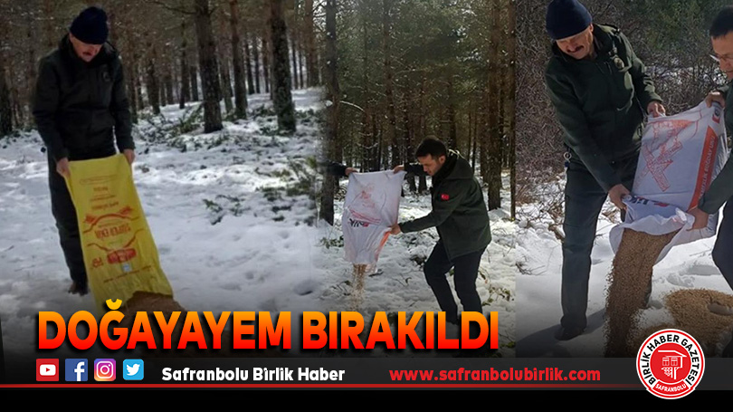 Yaban hayvanlarına yem bırakıldı