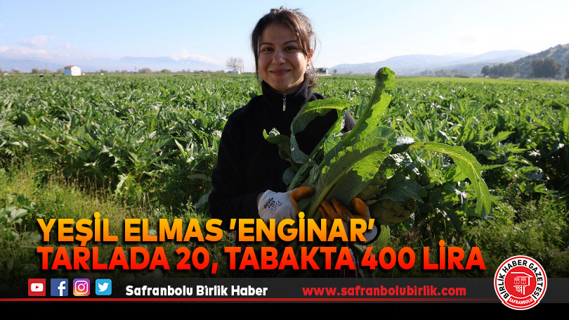 Yeşil elmas ’enginar’ tarlada 20, tabakta 400 lira
