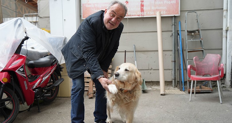 Köpeğin doktora havlaması sahibine 700 bin TL’ye patladı