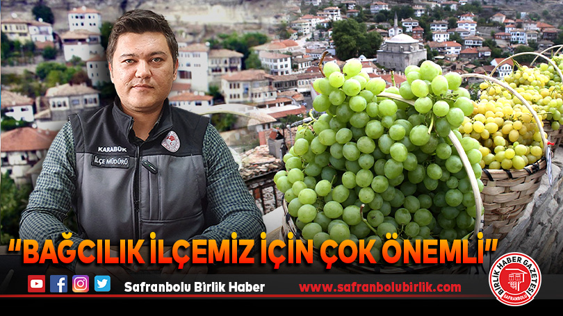 “Bağcılık ilçemiz için çok önemli”