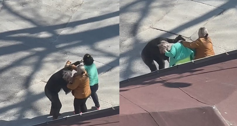 Bursa’da kadınlar saç saça birbirlerine girdi