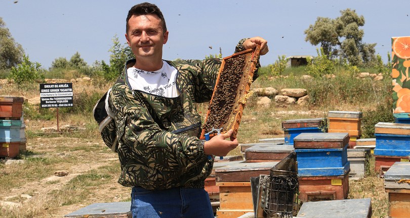 Finans uzmanıydı, arıcı oldu