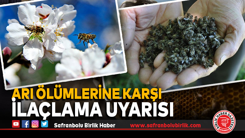 Arı ölümlerine karşı ilaçlama uyarısı