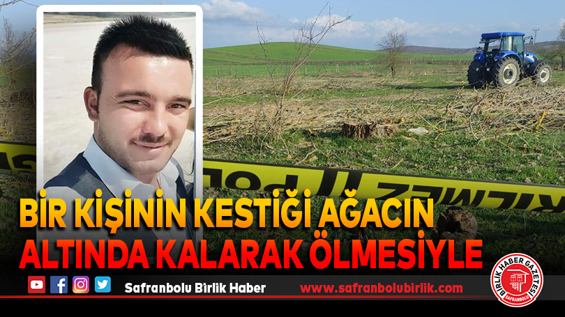 Bir kişinin kestiği ağacın altında kalarak ölmesiyle ilgili 3 gözaltı