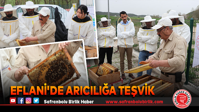 Eflani’de arıcılığa teşvik