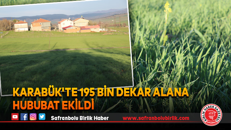 Karabük’te 195 bin dekar alana hububat ekildi