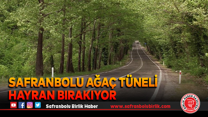 Safranbolu’daki ağaç tüneli hayran bırakıyor
