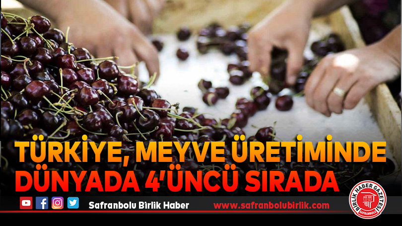 Türkiye, meyve üretiminde dünyada 4’üncü sırada