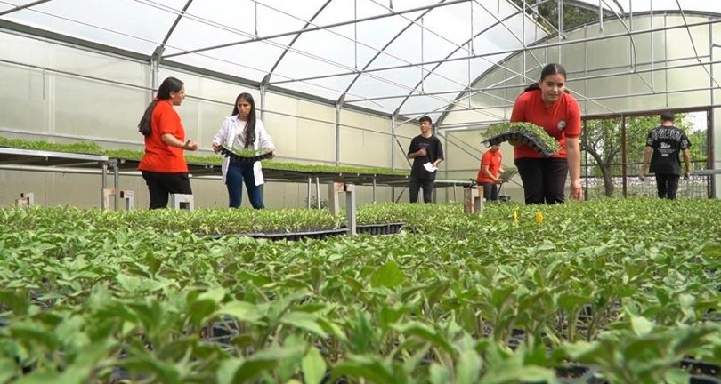 Tarım bölümü öğrencileri hem öğreniyor, hem üretiyor