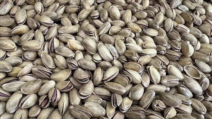 Türkiye’den yılın ilk 3 ayında 73,8 milyon dolarlık fıstık ihraç edildi