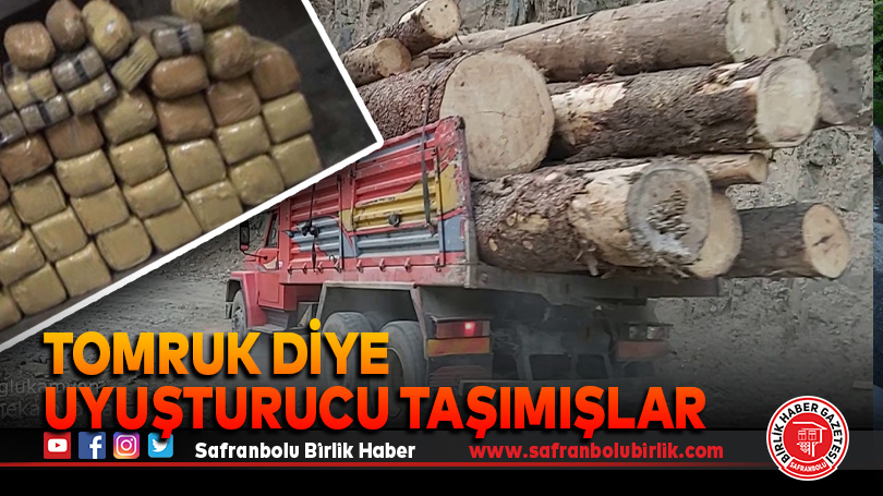 Tomruk yerine uyuşturucu taşımışlar