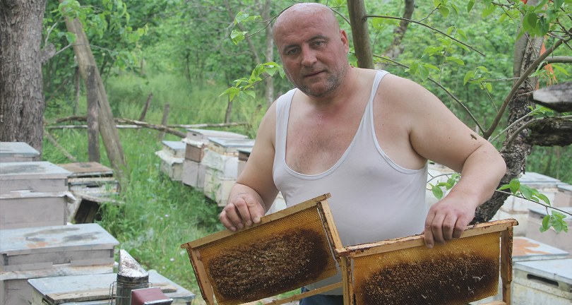 Arılara yarı çıplak ve eldivensiz müdahale ediyor