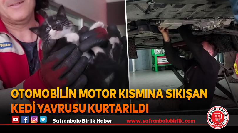 Otomobilin motor kısmına sıkışan kedi yavrusu kurtarıldı