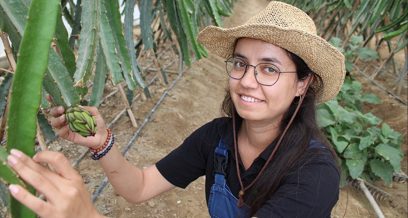 Plaza hayatını bıraktı huzuru tarımda buldu