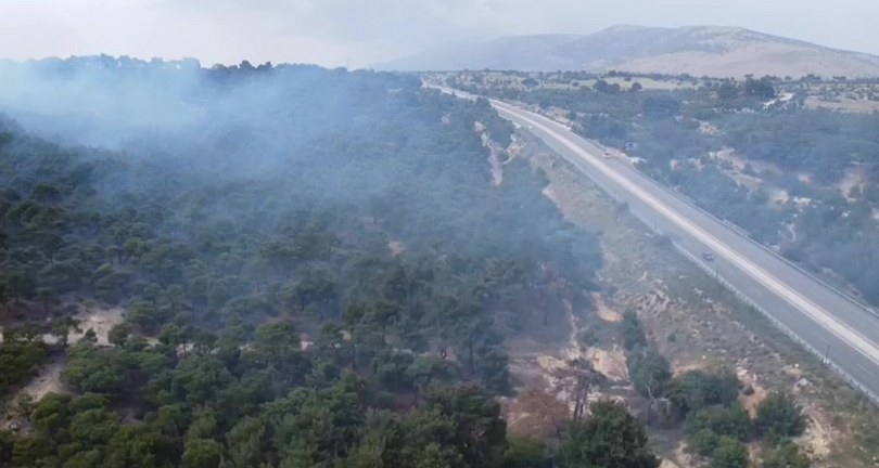 Piknik ateşi yangına yol açtı