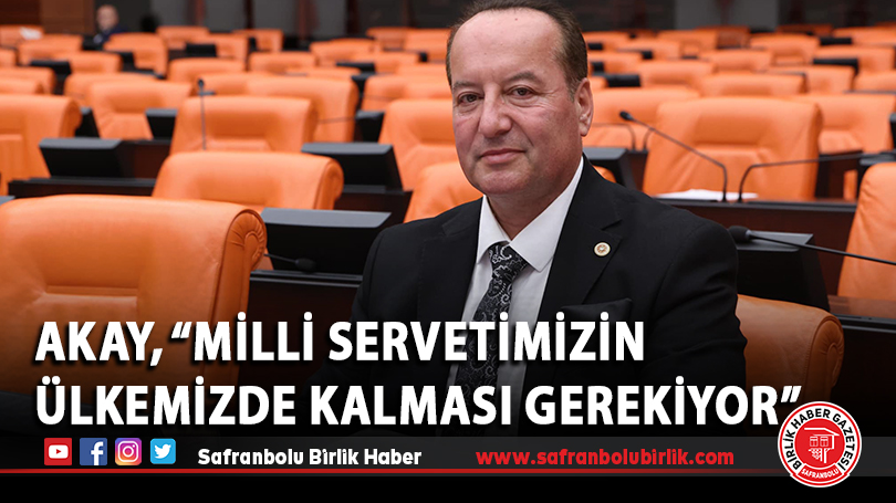 Akay, “Milli Servetimizin Ülkemizde Kalması Gerekiyor”