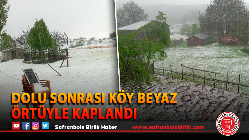 Dolu sonrası köy beyaz örtüyle kaplandı