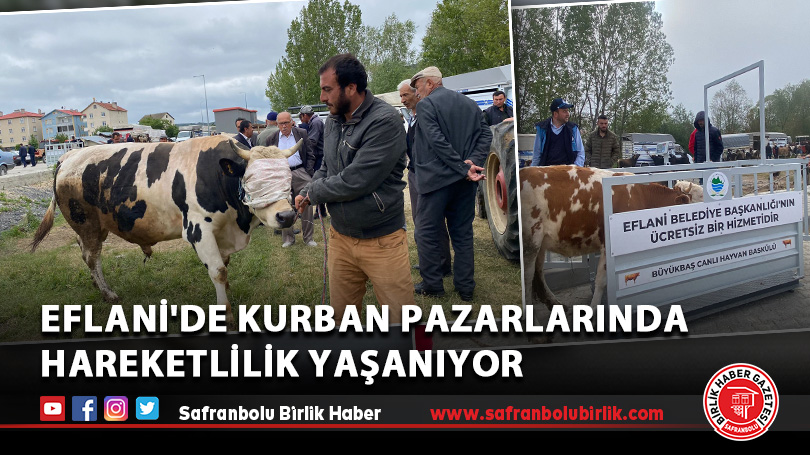 Eflani’de kurban pazarlarında hareketlilik yaşanıyor