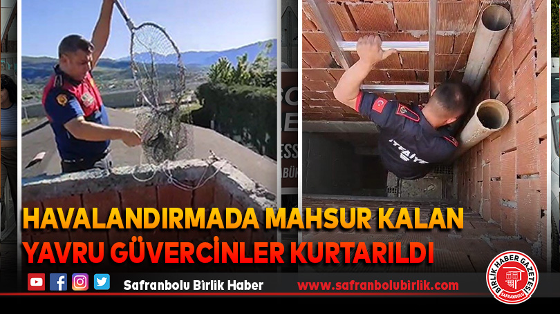 Havalandırmada mahsur kalan yavru güvercinler kurtarıldı