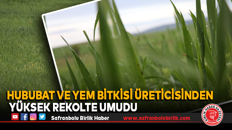 Karabük hububat ve yem bitkisi üreticisine yüksek rekolte umudu