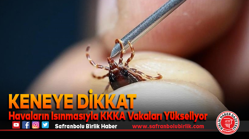 Keneye Dikkat: Havaların Isınmasıyla KKKA Vakaları Yükseliyor