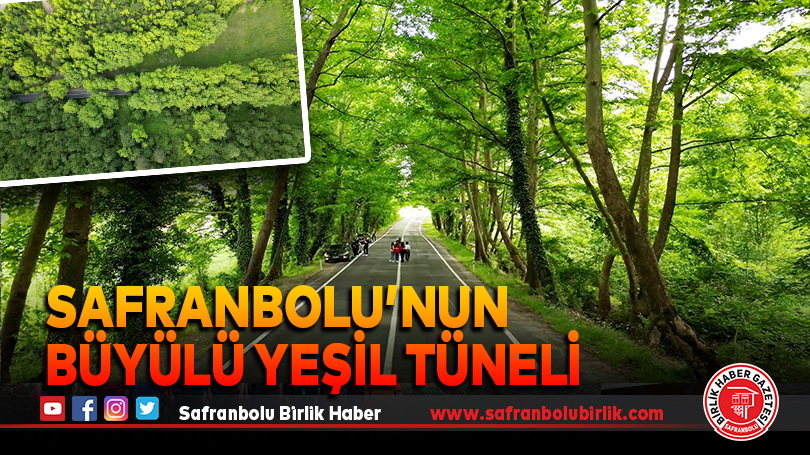 Safranbolu’nun Büyülü Yeşil Tüneli