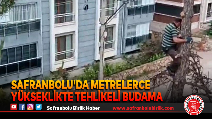 Safranbolu’da Metrelerce yükseklikte tehlikeli budama