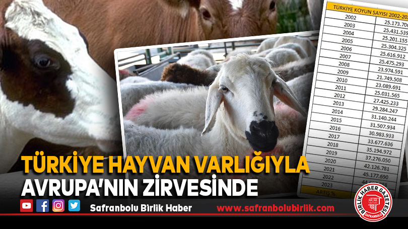 Türkiye hayvan varlığıyla Avrupa’nın zirvesinde