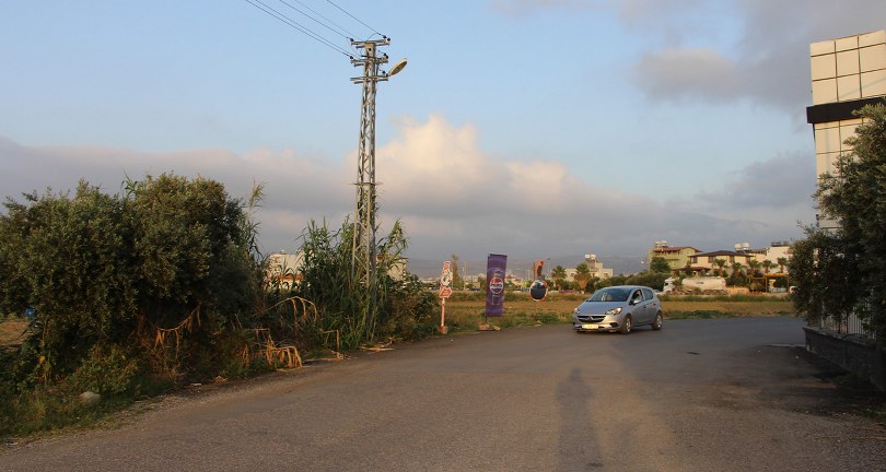 Sabah sporunda köpeklerin saldırısı