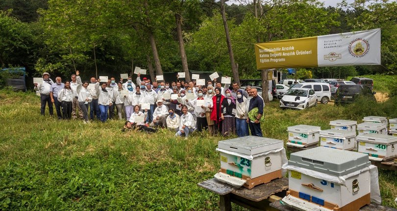 Kontrolsüz ilaçlama arılara ve arı ürünlerine zarar veriyor