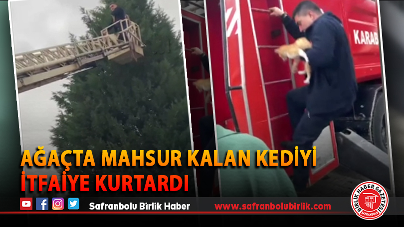 Ağaçta mahsur kalan kediyi itfaiye kurtardı