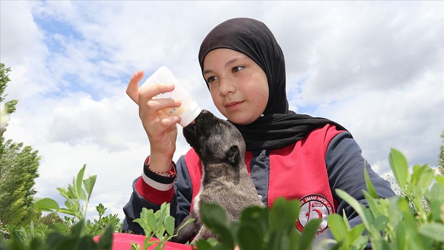Sahipsiz köpeklerin 17 yerinden ısırdığı Belinay estetik ameliyat olacağı günü bekliyor