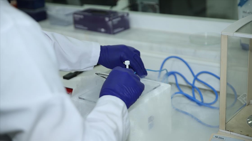 Bal arısı ırkları gen bankasıyla korunacak