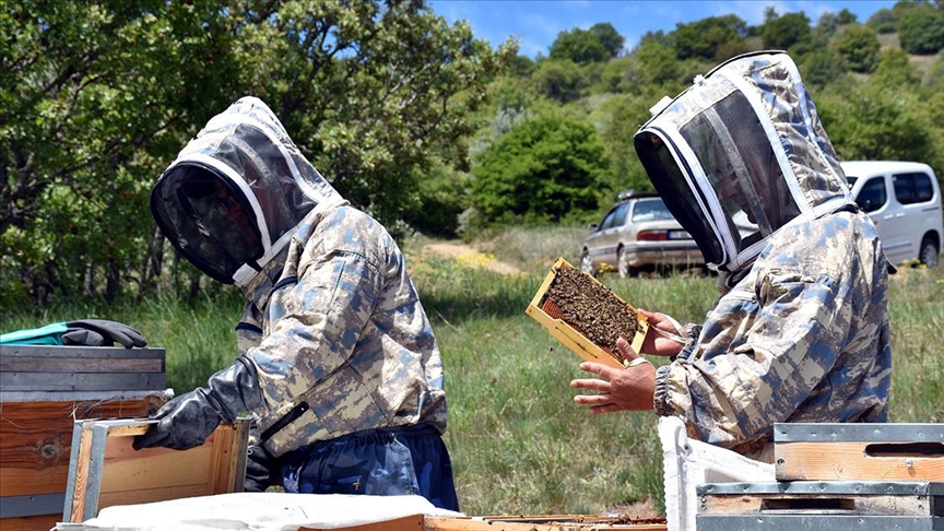 Arıcılar 1744 rakımlı Dinek Dağı’nda devlet desteğiyle bal üretiyor