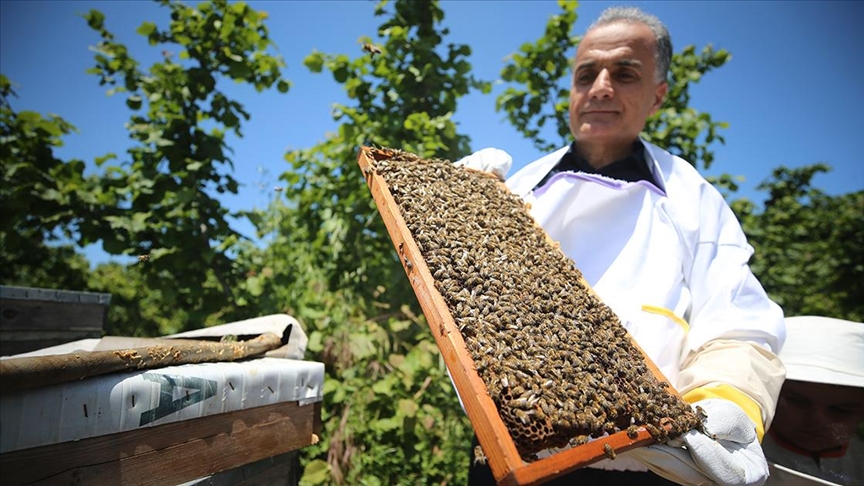 Hobi amaçlı arıcılık yapan rektör, iş stresini doğada atıyor
